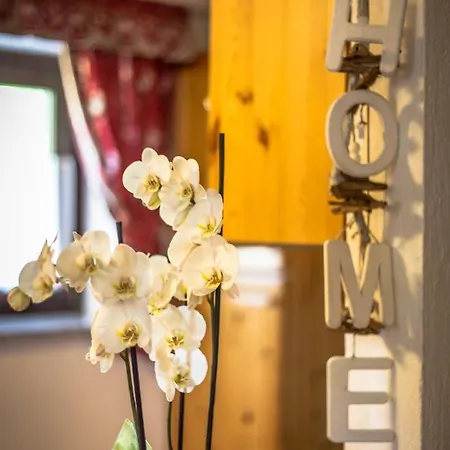 Chalet Ad Lignum *